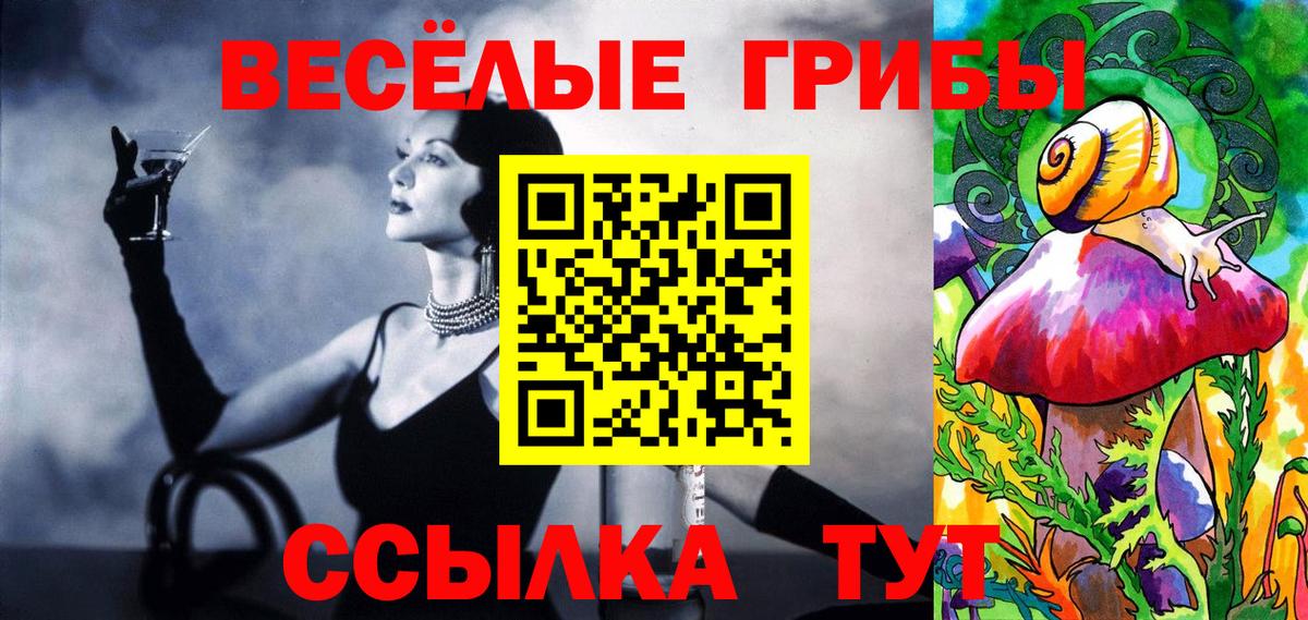 Заринск  Псилоцибиновые грибы Magic Shrooms  Вход с VPN 